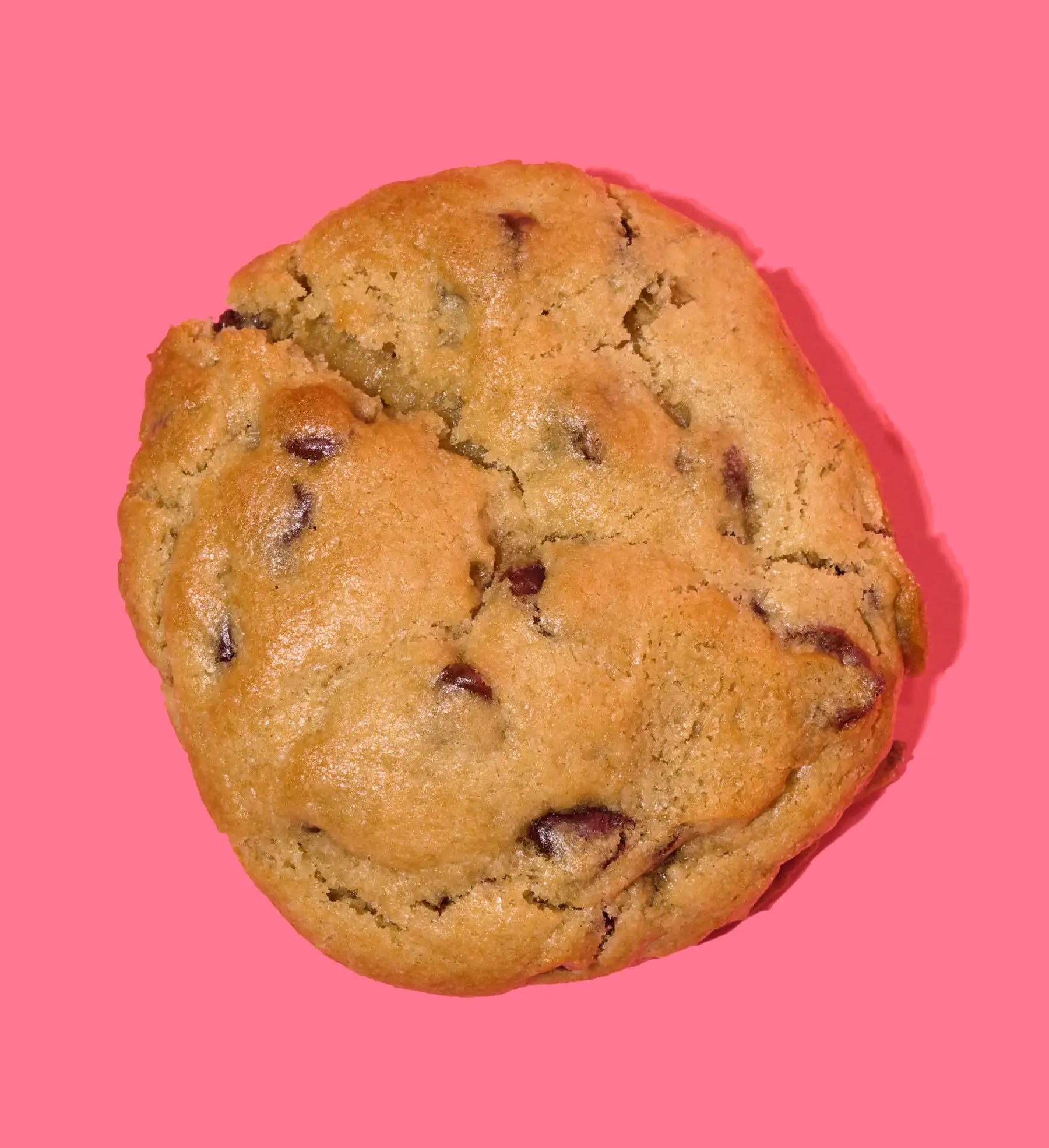 Chunky Chocolate Chip 🍪🥛