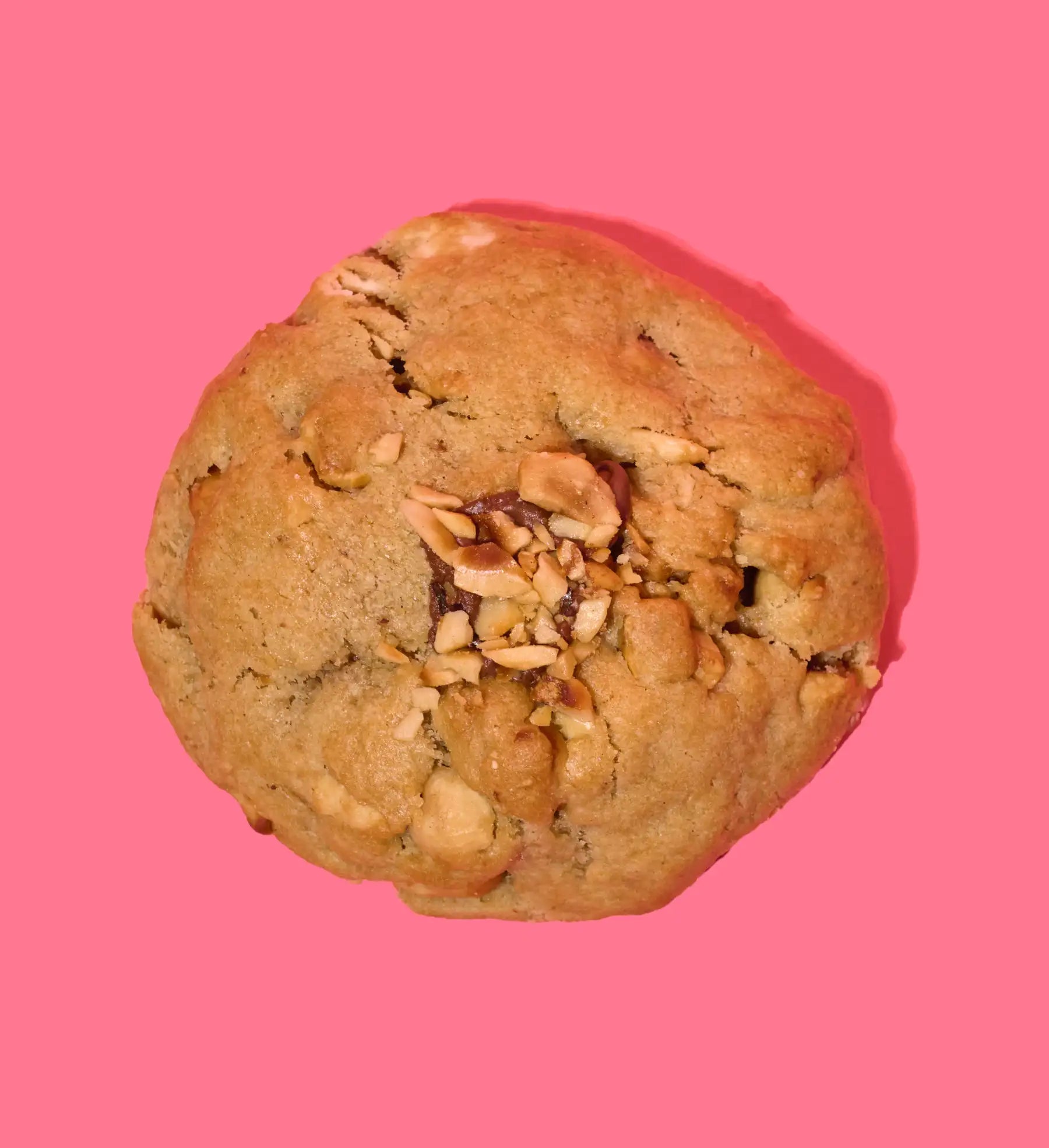 Golden Hazelnut Cookie
